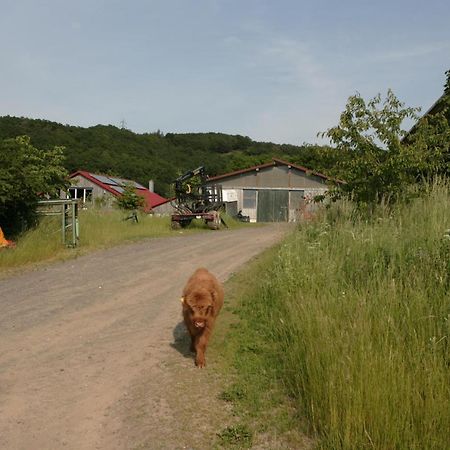 Rech Hof Urlaub Auf Dem Bauernhof Lejlighed Schalkenbach Eksteriør billede