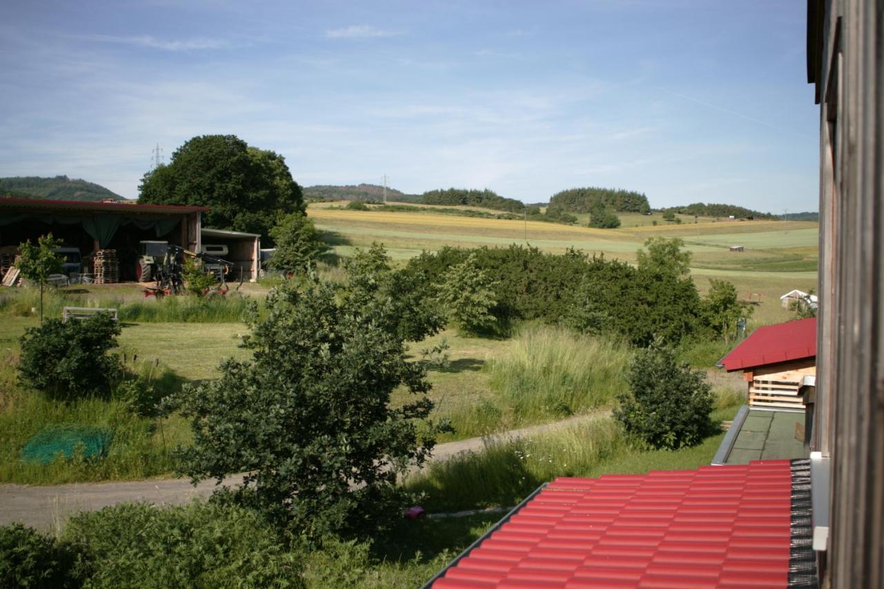 Rech Hof Urlaub Auf Dem Bauernhof Lejlighed Schalkenbach Eksteriør billede