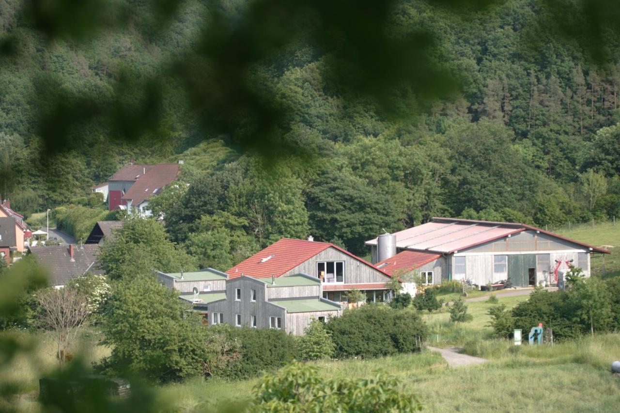 Rech Hof Urlaub Auf Dem Bauernhof Lejlighed Schalkenbach Eksteriør billede