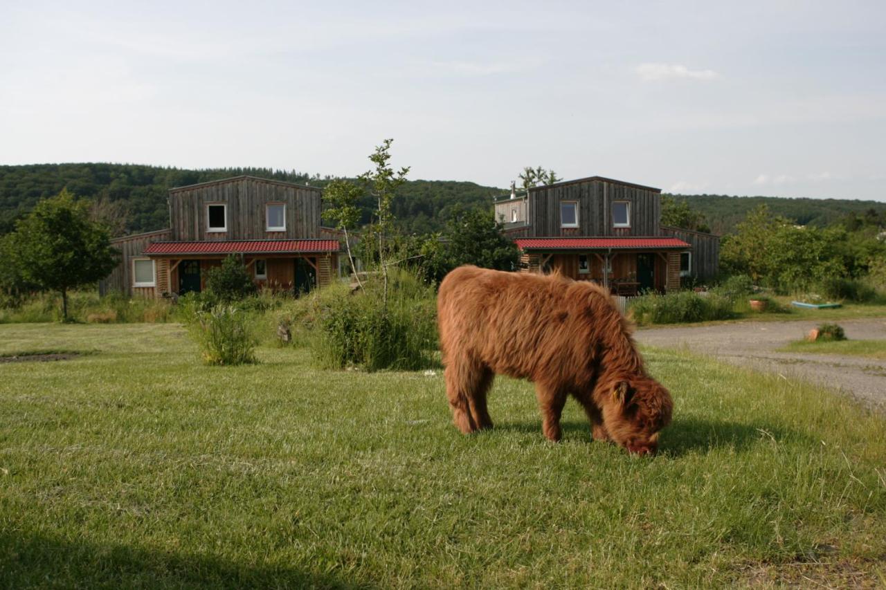 Rech Hof Urlaub Auf Dem Bauernhof Lejlighed Schalkenbach Eksteriør billede