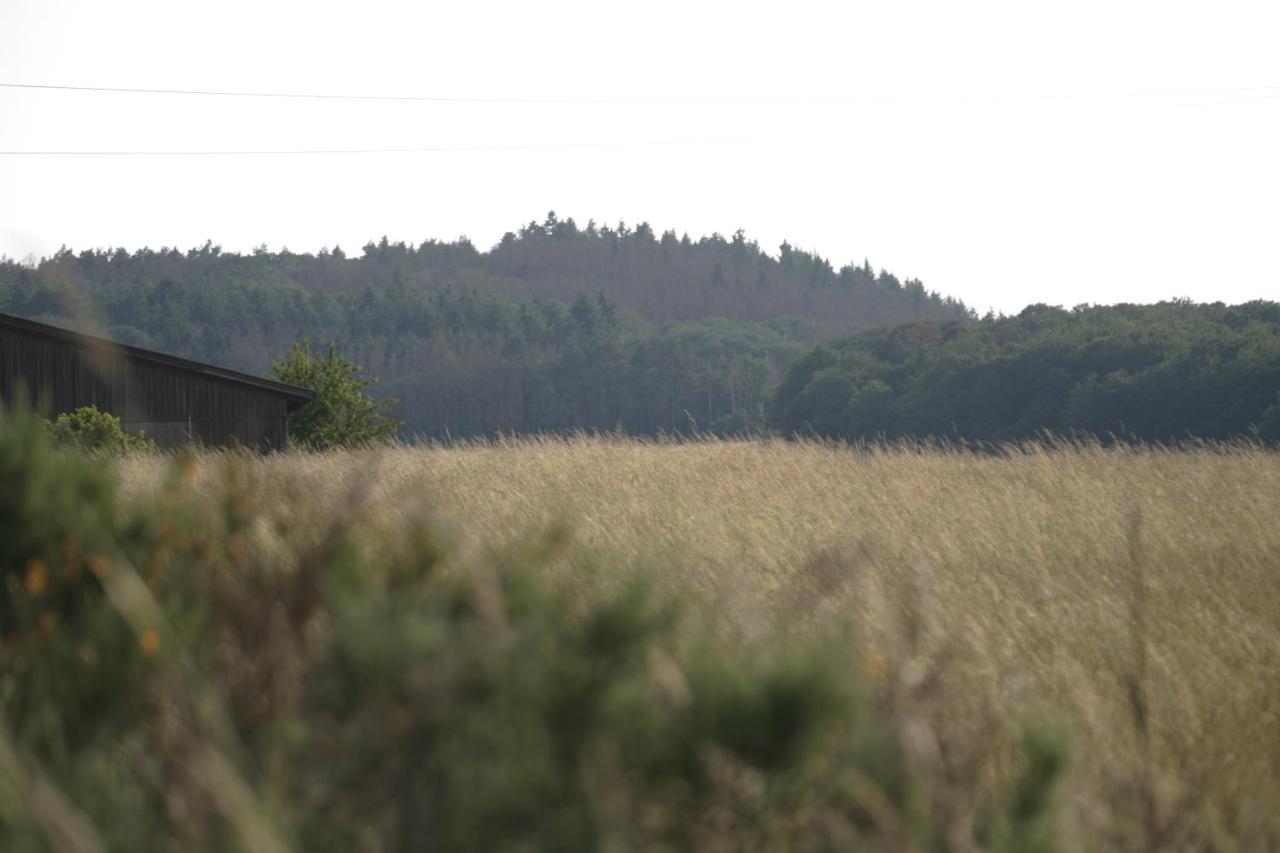 Rech Hof Urlaub Auf Dem Bauernhof Lejlighed Schalkenbach Eksteriør billede