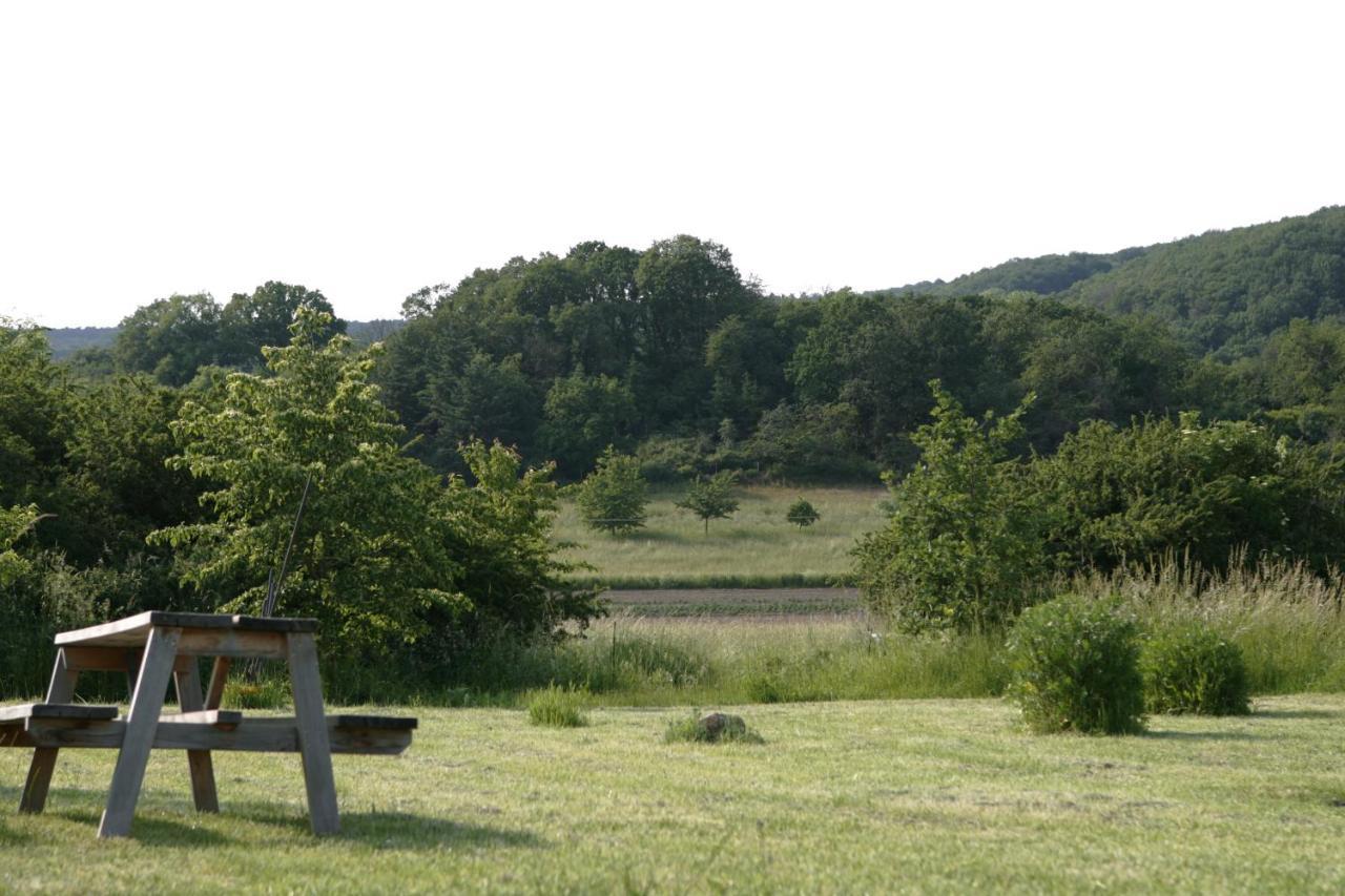 Rech Hof Urlaub Auf Dem Bauernhof Lejlighed Schalkenbach Eksteriør billede