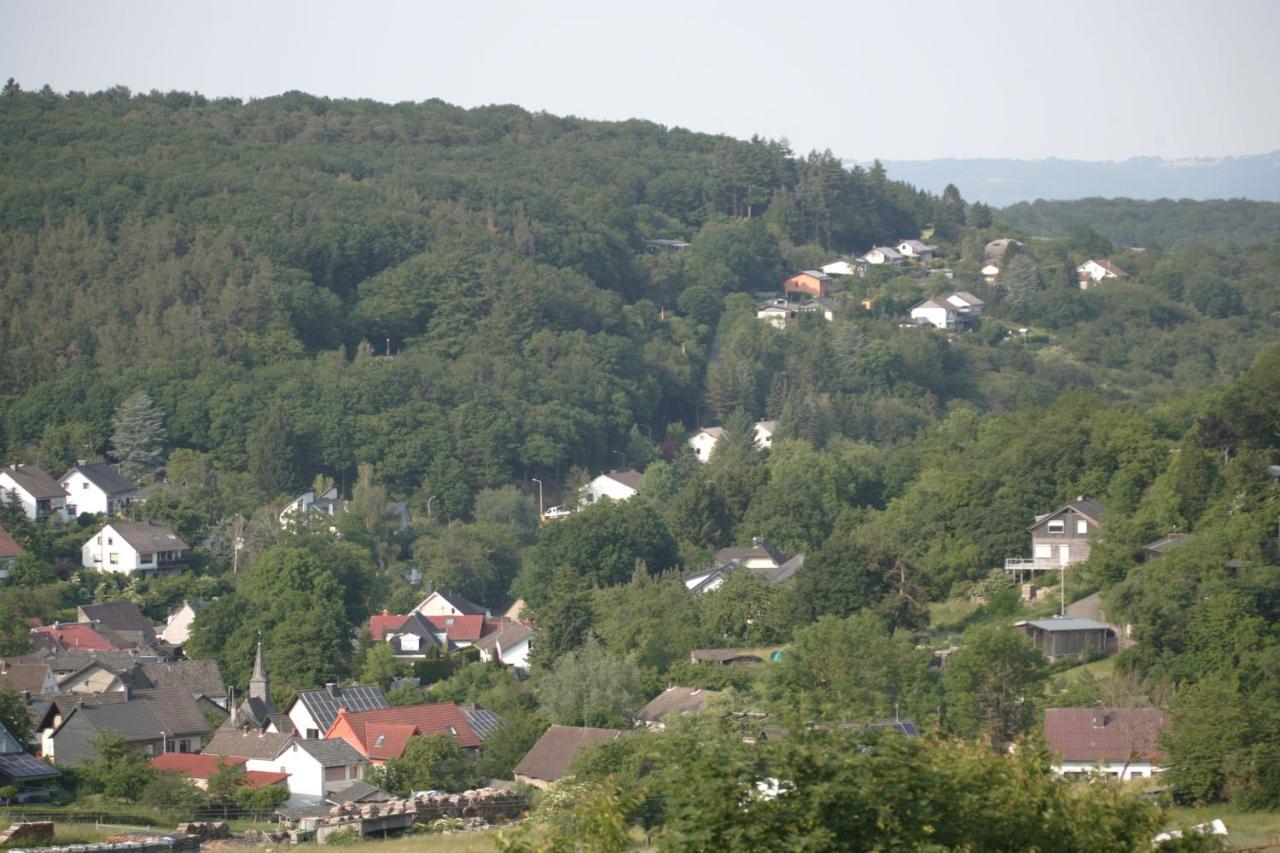 Rech Hof Urlaub Auf Dem Bauernhof Lejlighed Schalkenbach Eksteriør billede